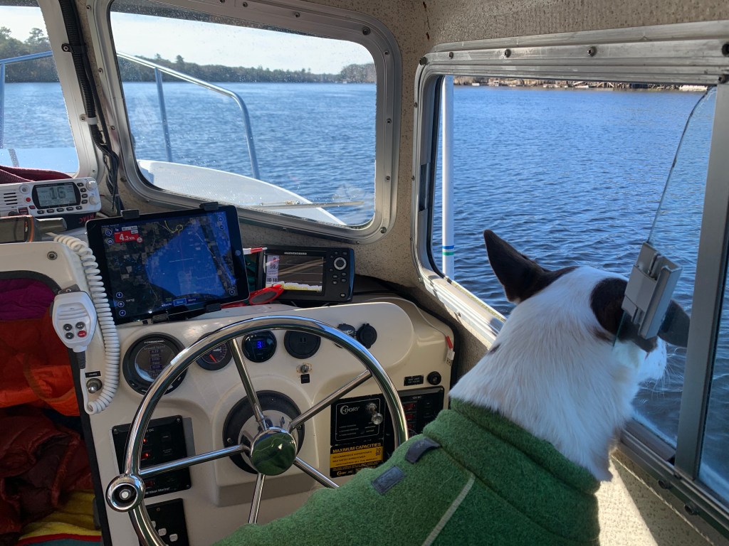 Suwannee River Christmas Trip Teddy Garlock (the sumpeater)