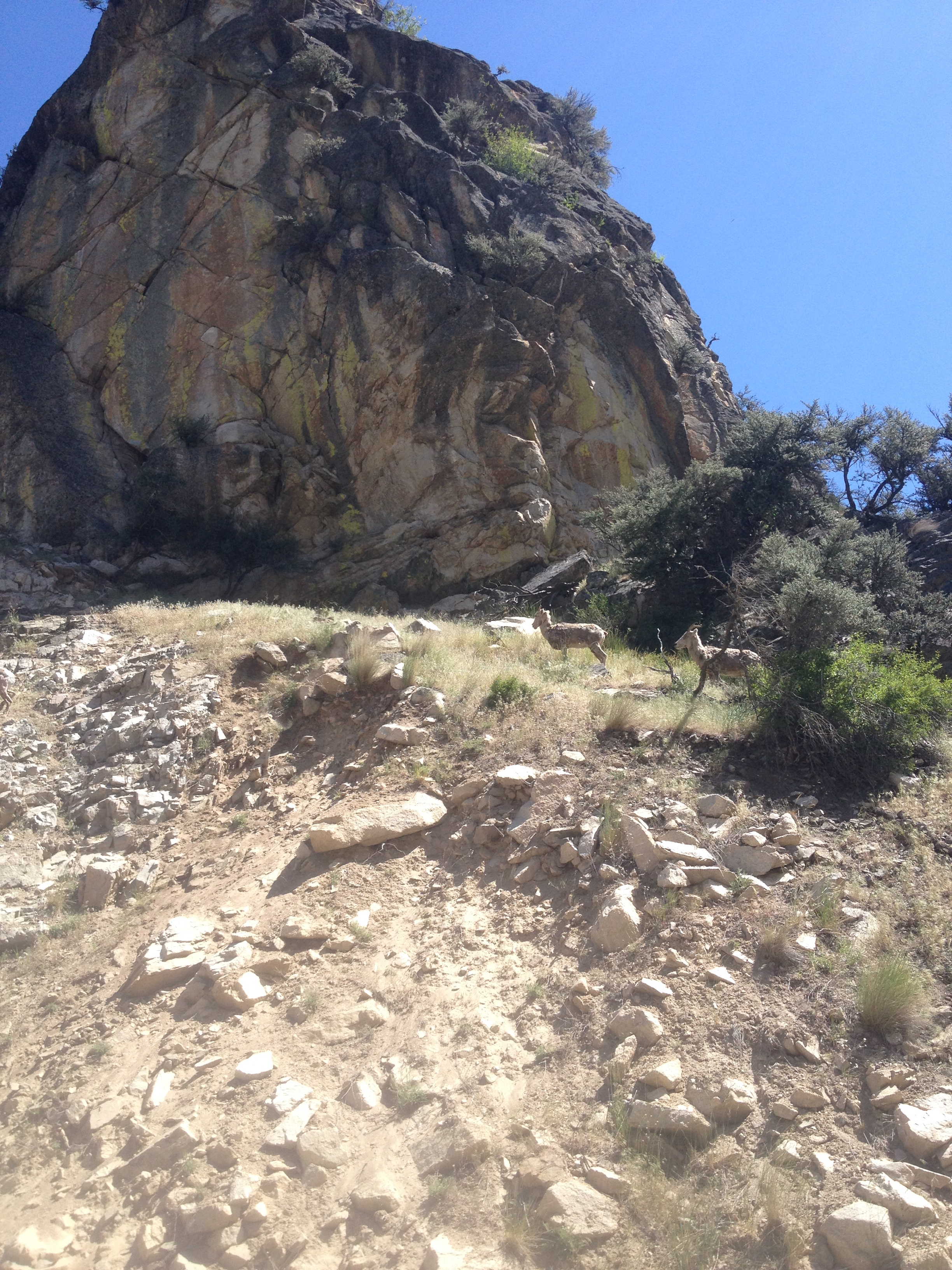 Montana, so far… Dirt Diaries