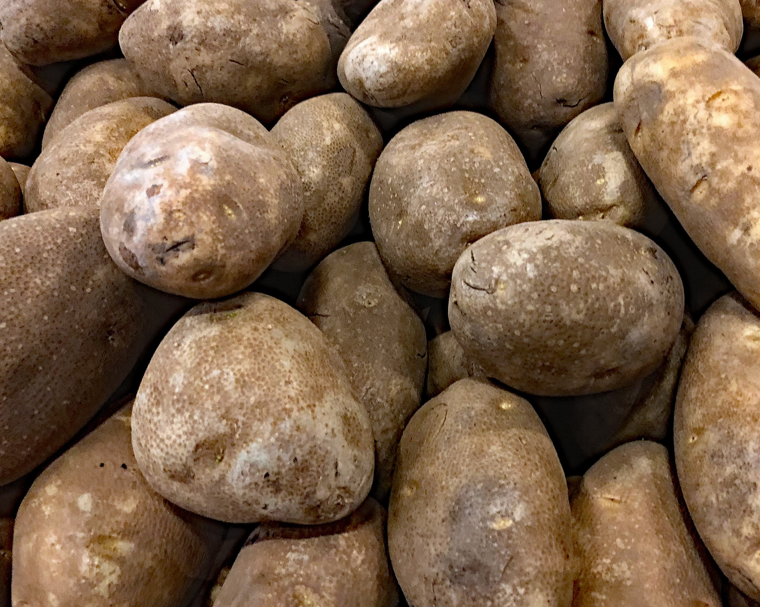 Growing Potatoes In A Bag The Dirt Gardener