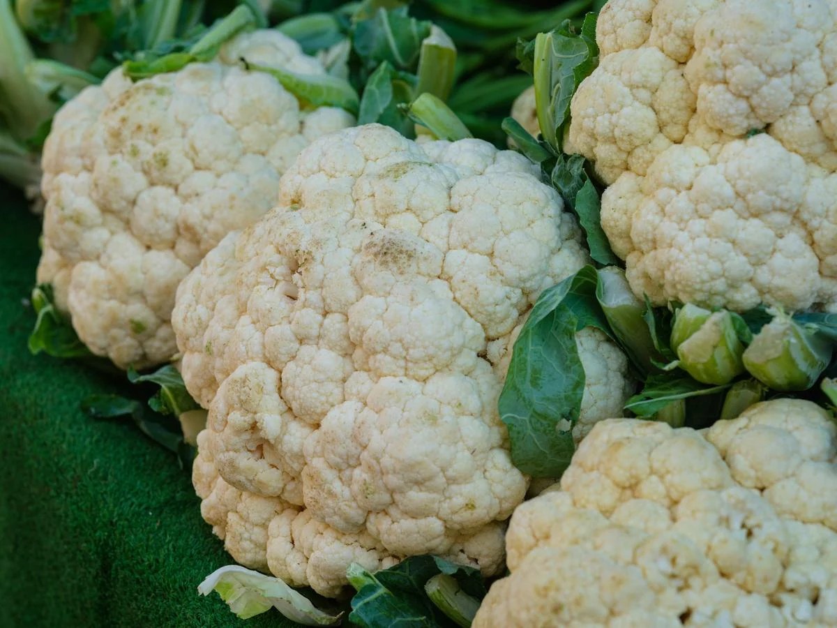 Cauliflower Black Spots What to Know