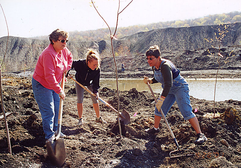 D.I.R.T. studio VINTONDALE RECLAMATION PARK