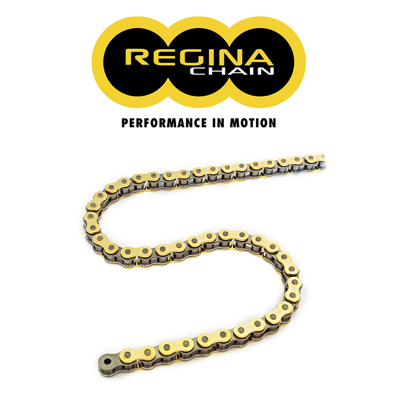 デイトナ REGINA レジーナ 520ZRP 120リンク 花カシメ ソリッドカシメ シールチェーン 展示品 90012 交換無料！
