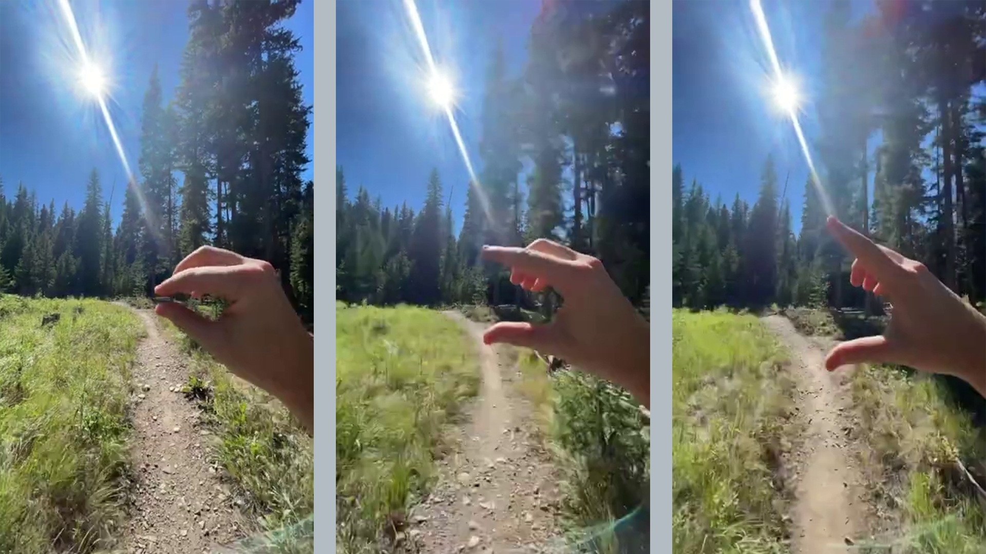 Motion Design » Dirtybarn