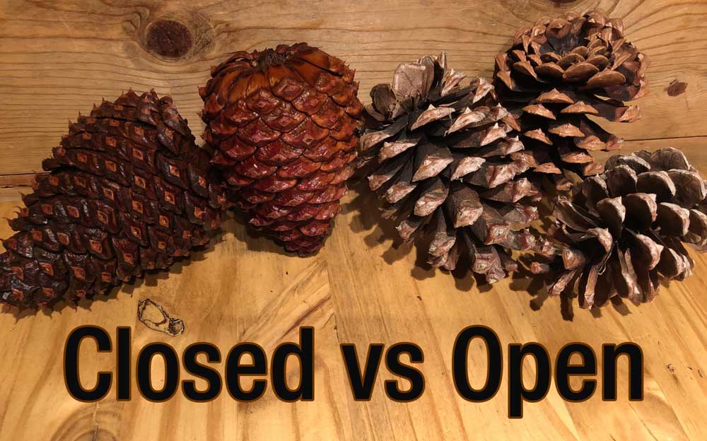 Outdoor Education School Science Camps California