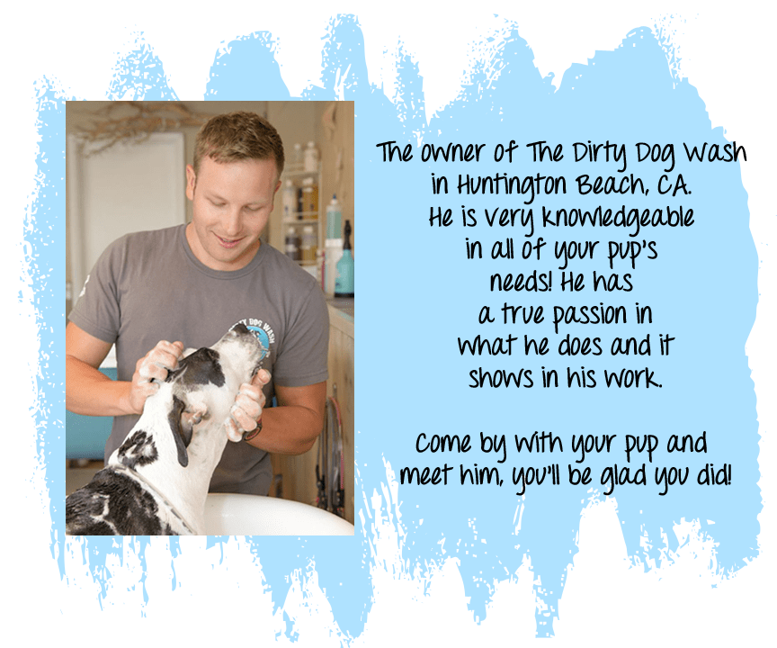 Meet Nick Dirty Dog Wash