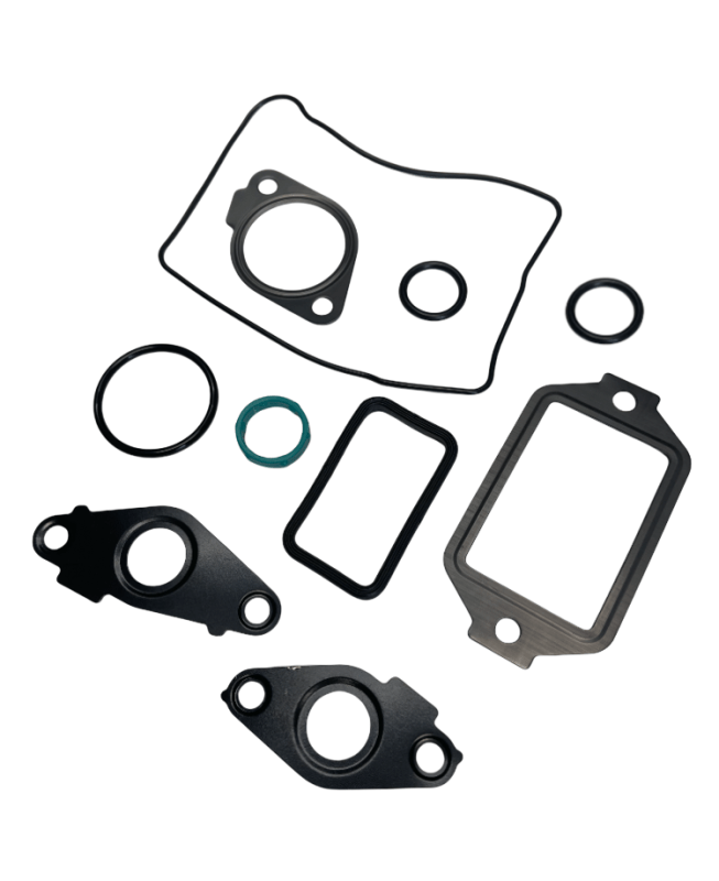 DHD 900100 Deluxe Duramax Engine Oil Cooler Seal & Install Kit 2001