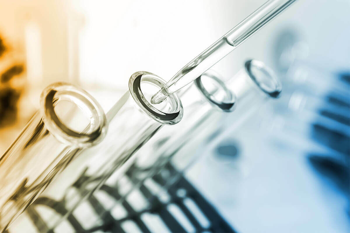 2024 Drug Testing & Safety Update Workplace Strategies DISA