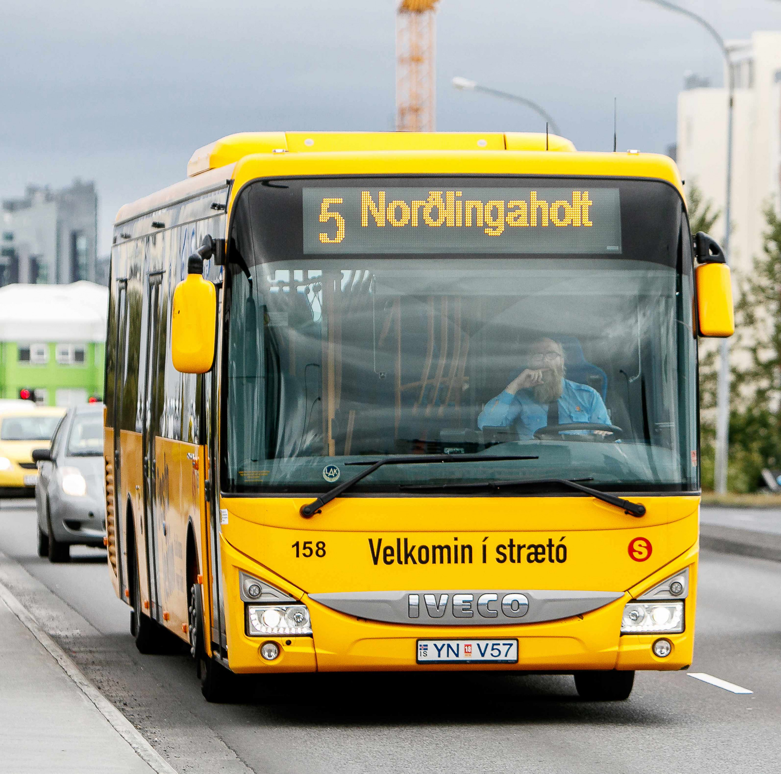 Iceland Disability Insider