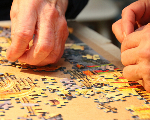 puzzle Disabled Accessible Travel