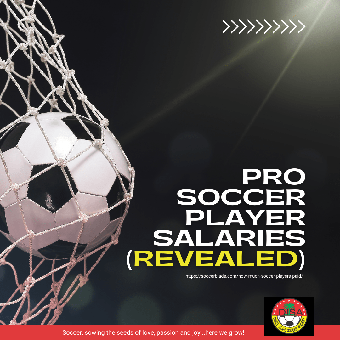 Pro Soccer Players Salaries • Daniel Island Soccer Academy