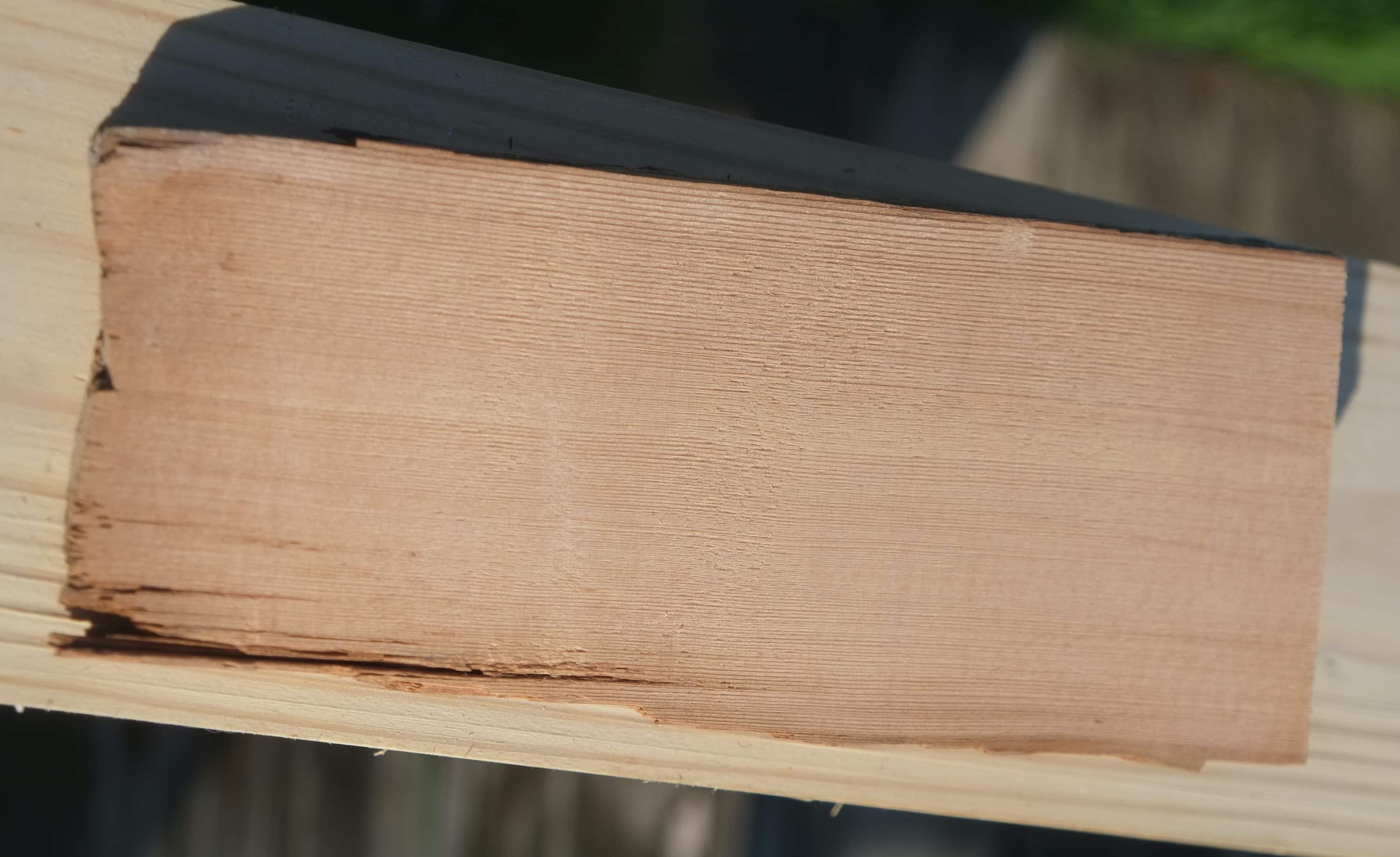 Old Growth Lumber Disaster Mansion