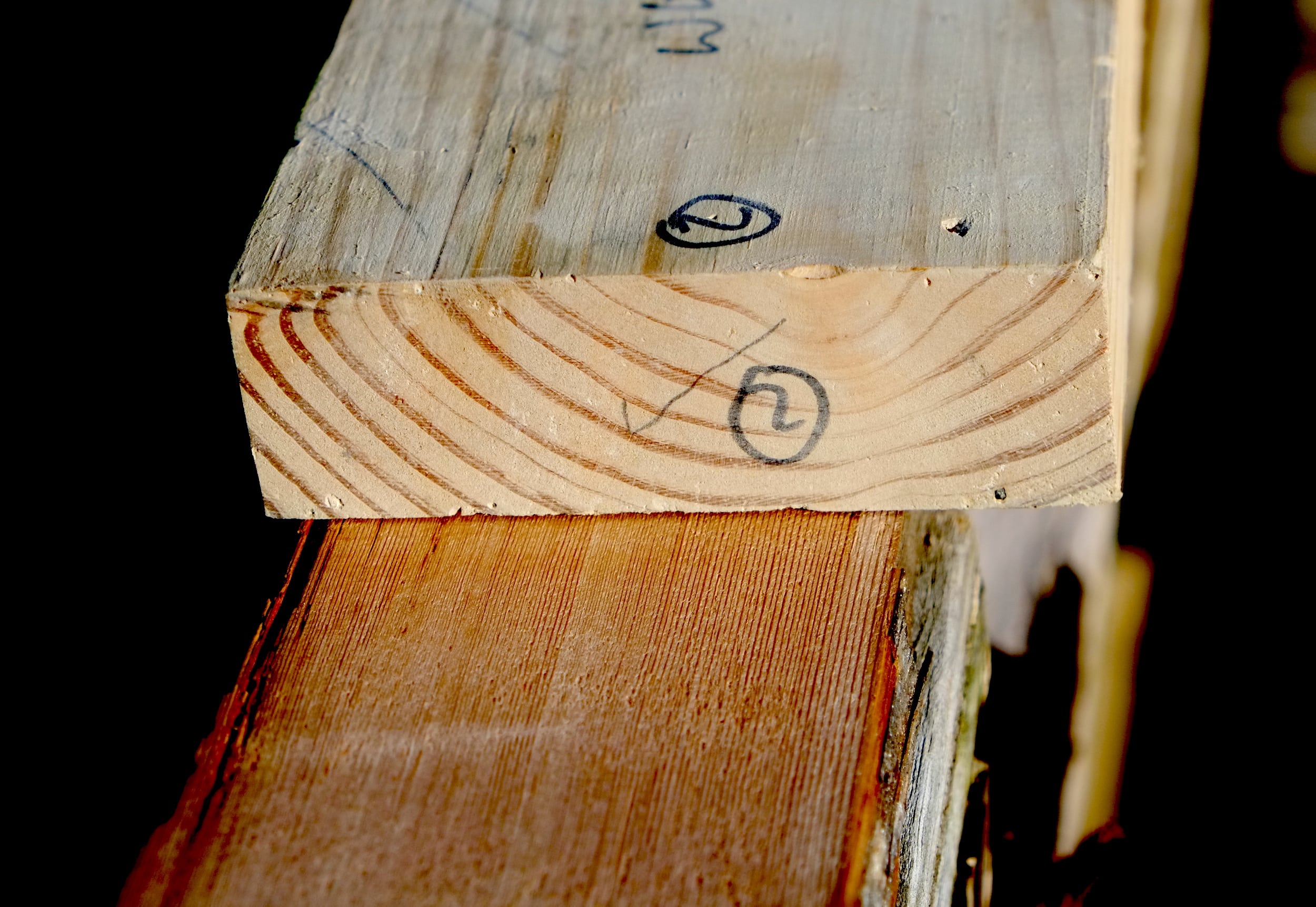 Old Growth Lumber Disaster Mansion