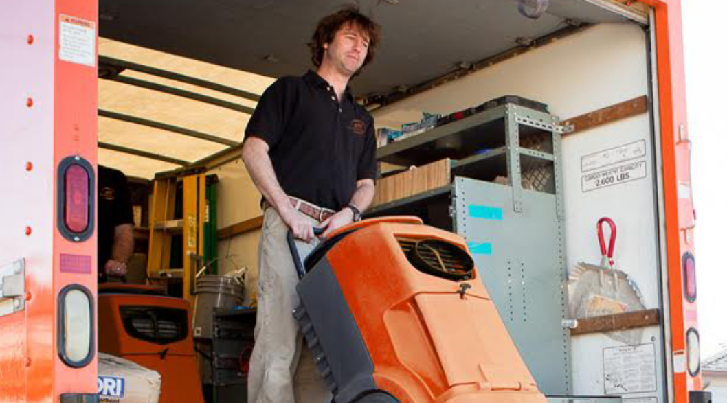 Black Mold Removal & Remediation Houston (281) 8094500