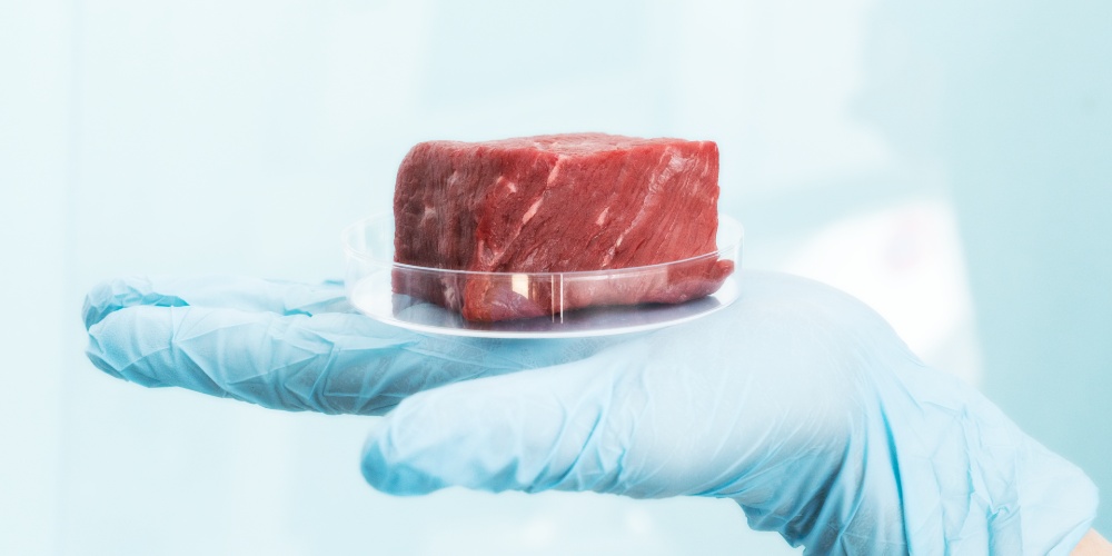 American Meat Producers Heavily Invest in “Novel Protein” — AKA LabGrown Meat and Bugs