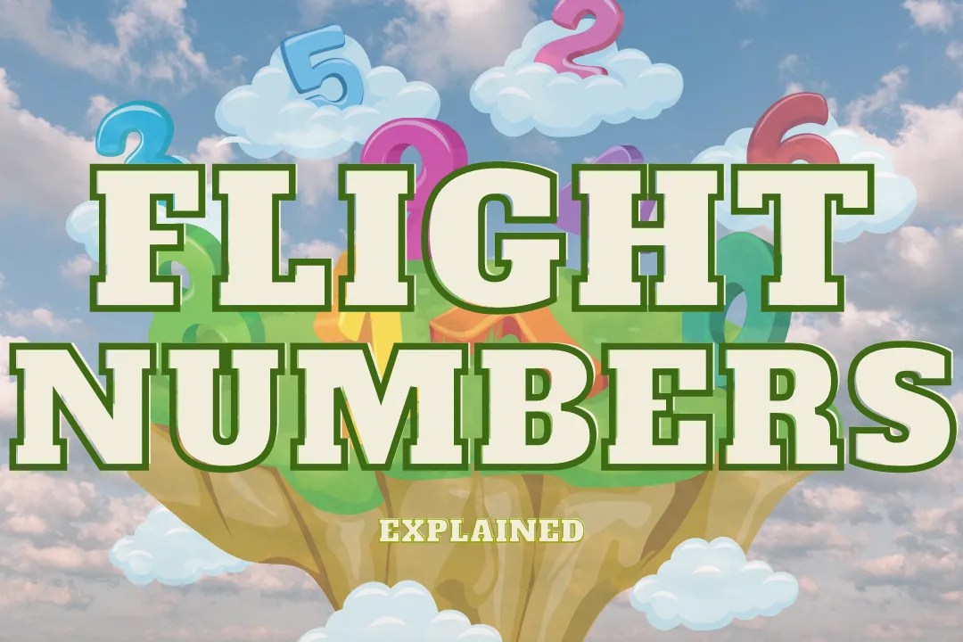 What Do The Numbers On A Disc Golf Disc Mean? Disc Golf Dash