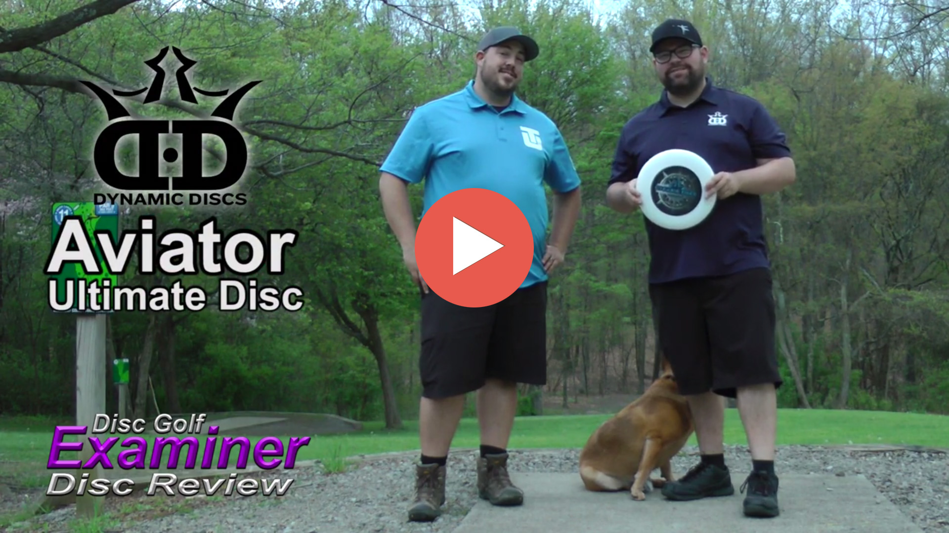 Disc Review Dynamic Discs Aviator Disc Golf Examiner