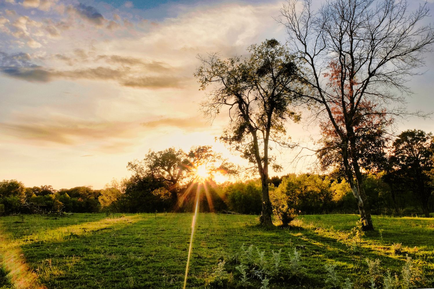 15 Free Things to Do in Texas City, TX