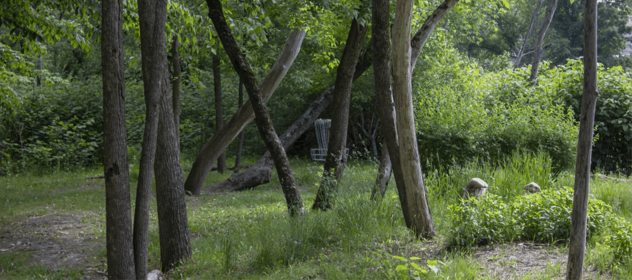 Grow the Sport For the love of the game Disc Golf Vermont