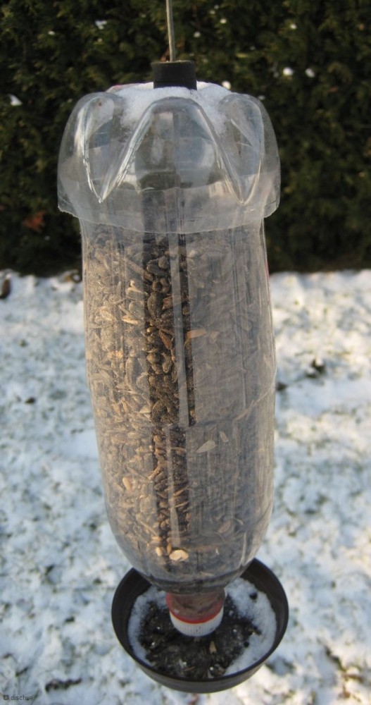Bastelei VogelfutterFlasche dischues Blog
