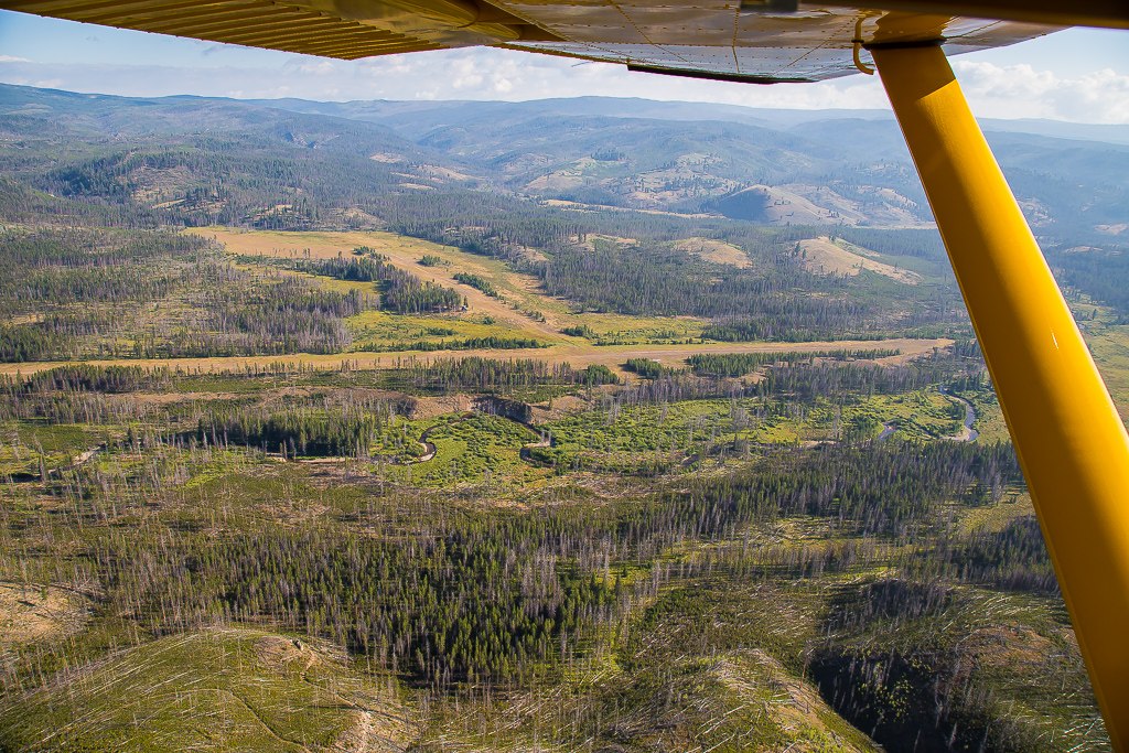 Flying to the Chamberlain Basin Airstrip Disciples of Flight