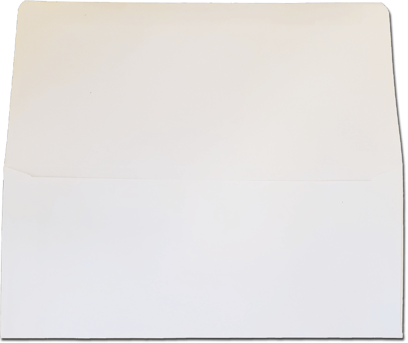 9 (37/8 x 87/8) Remittance Extended Flap Envelopes Discount Envelopes