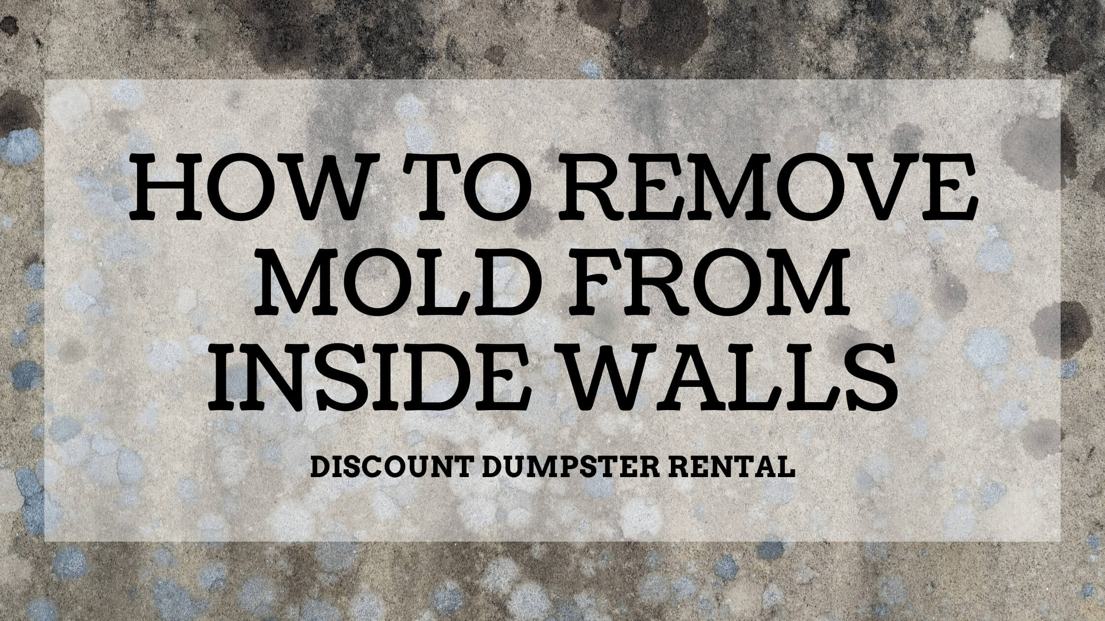 How To Remove Black Mold From Walls And Ceilings Shelly Lighting