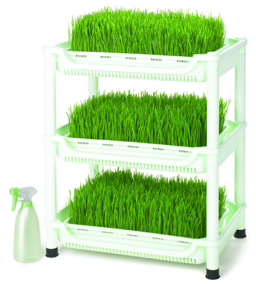 Sproutman's Soil Free Wheatgrass Grower Grow Wheat Grass in 10 days