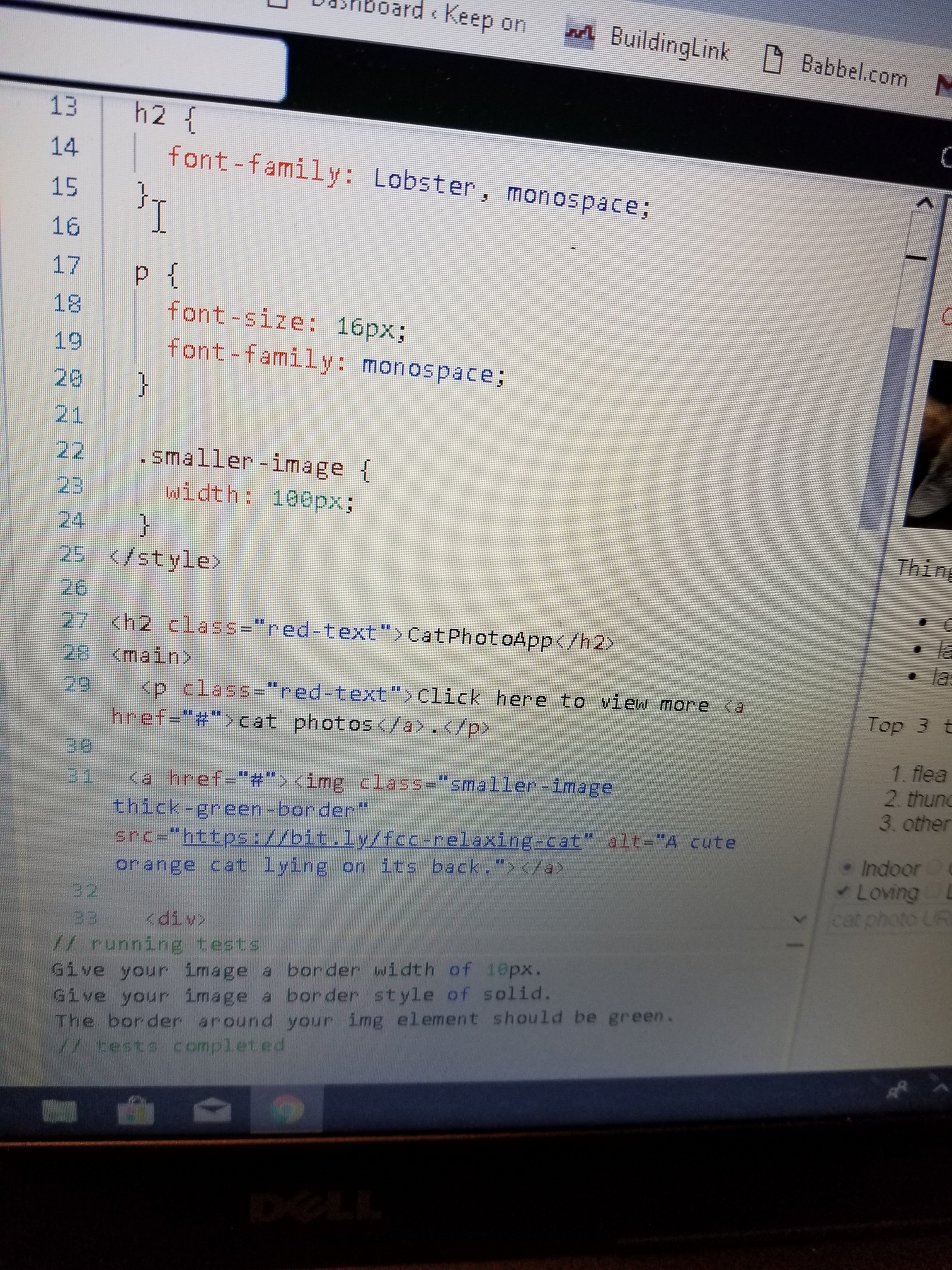 How To Add A Border To An Image In Html Images Poster