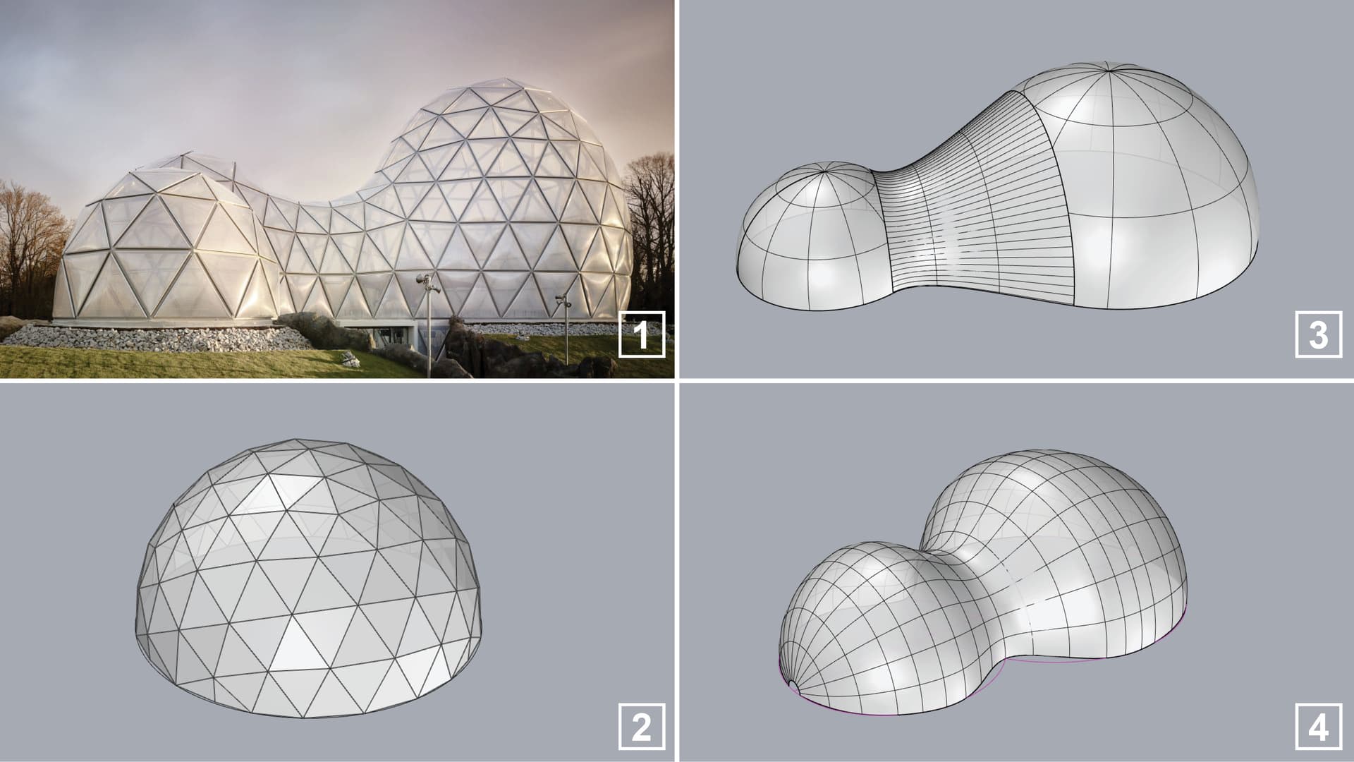 Smooth surface between multiple DOMES and even triangulation? Rhino