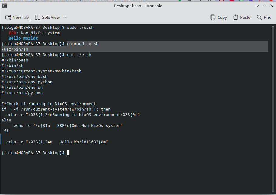 Shebang locations Help NixOS Discourse