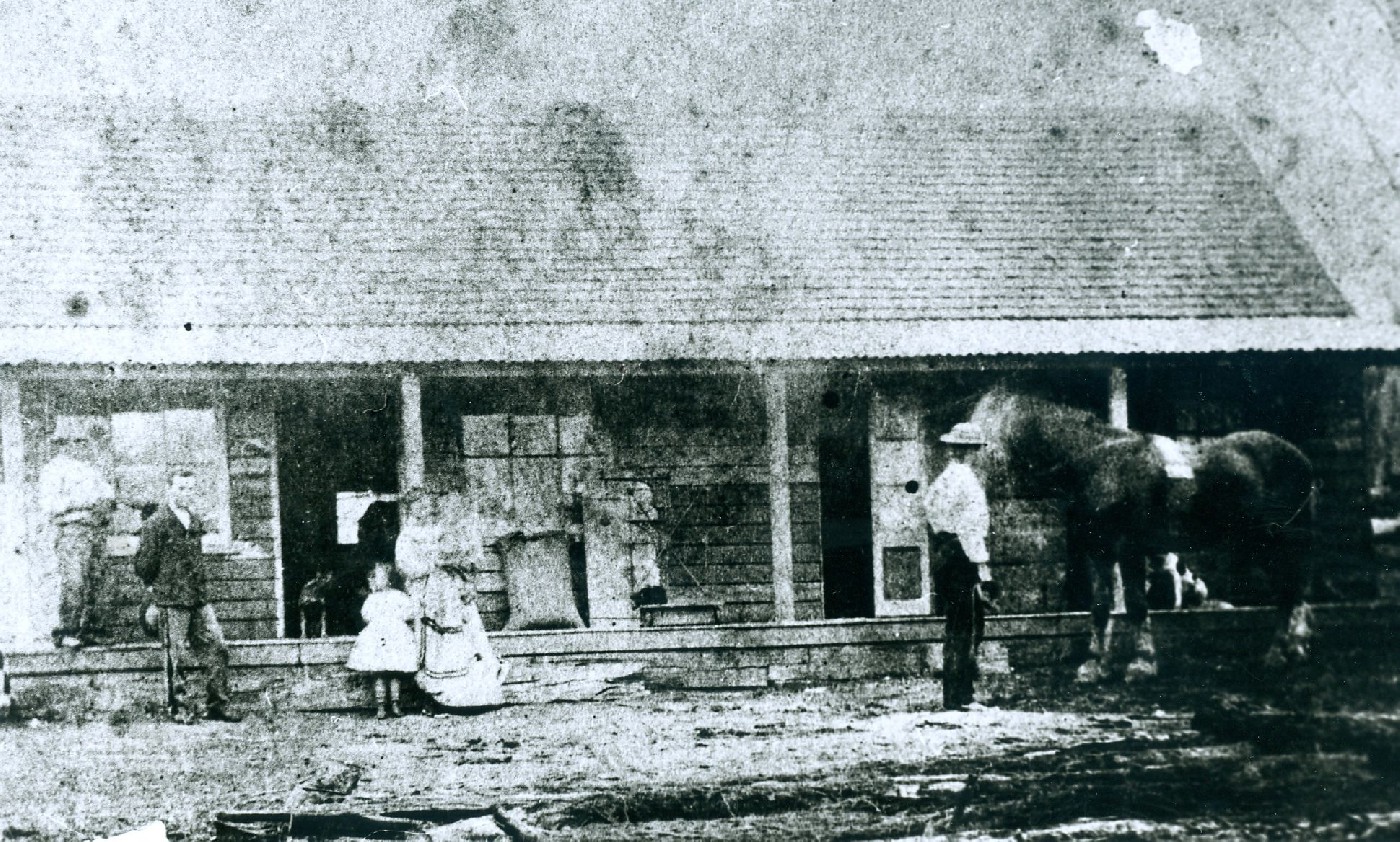 Grey, James Shellharbour City Council