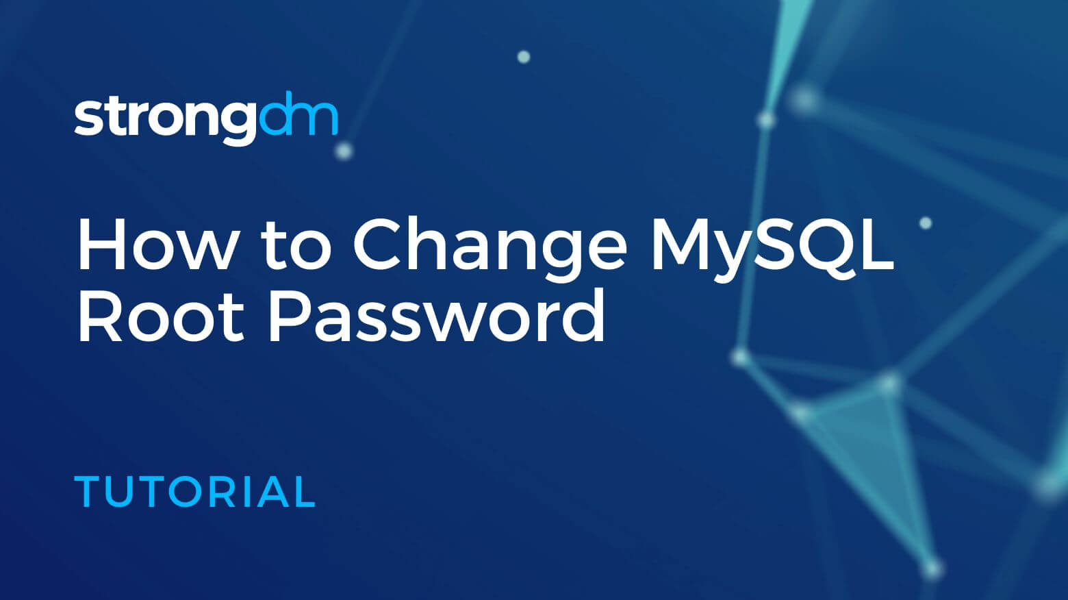 How To Recover Mysql Root Password Windows Plantforce21