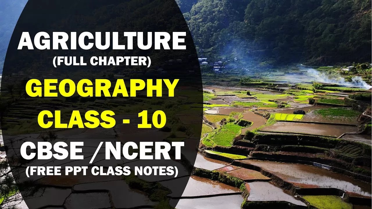 CBSE Notes Class 10 Geography Chapter 4 Agriculture Discover