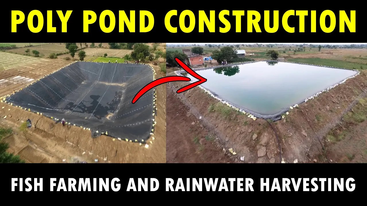 Building and Installing Poly Ponds The Perfect Solution for Fish