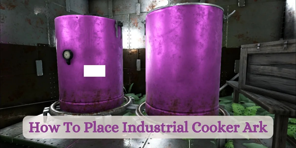 How To Place Industrial Cooker Ark