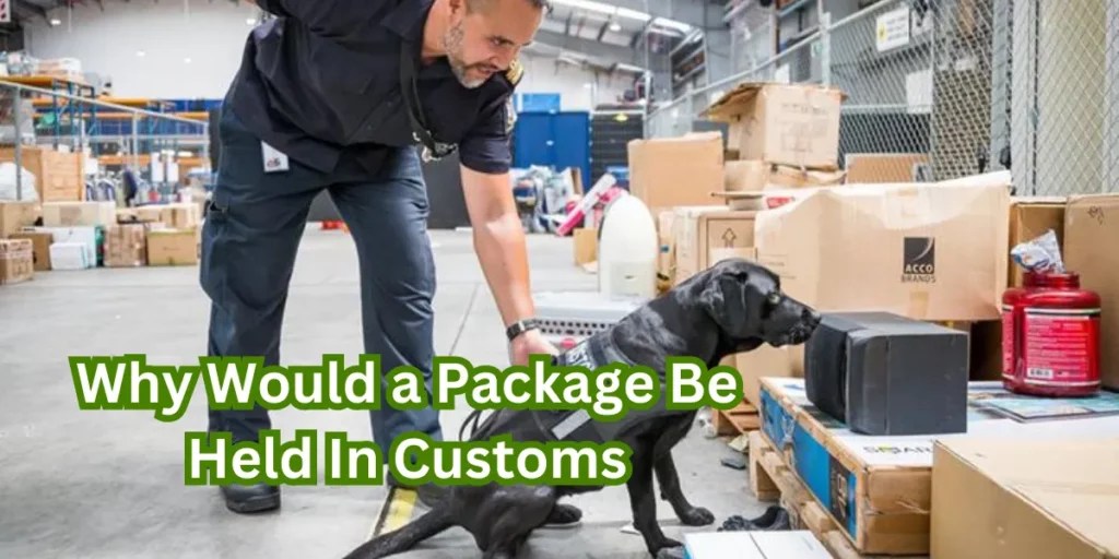 Why Packages Get Held in Customs Causes & Solutions