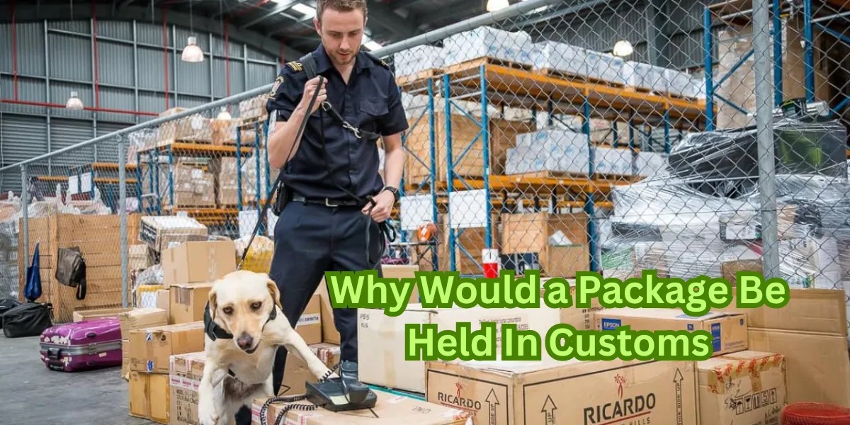 Why Packages Get Held in Customs Causes & Solutions