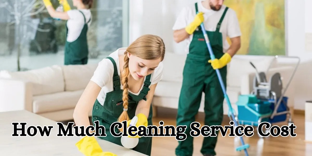 How Much Cleaning Service Cost