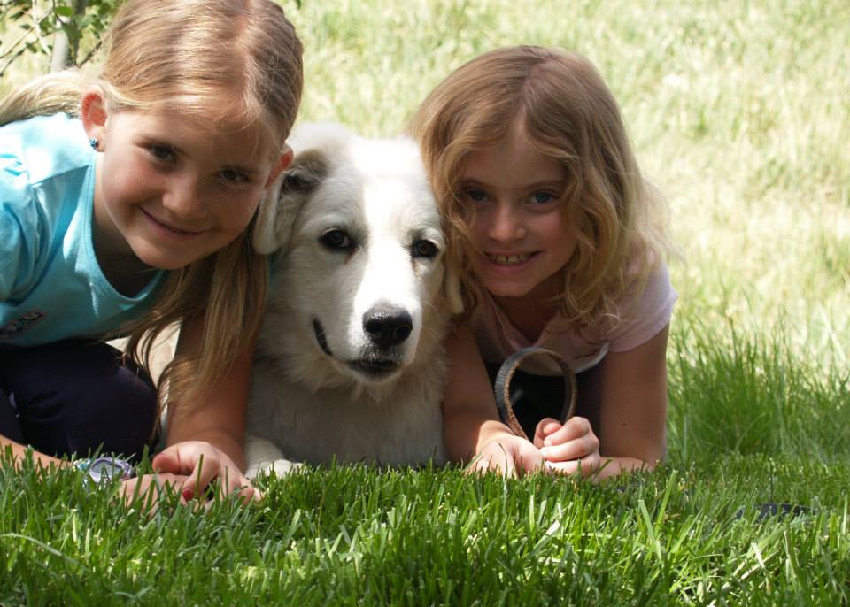 Avon Pet Centre in the Heart of the Valley Avon, CO