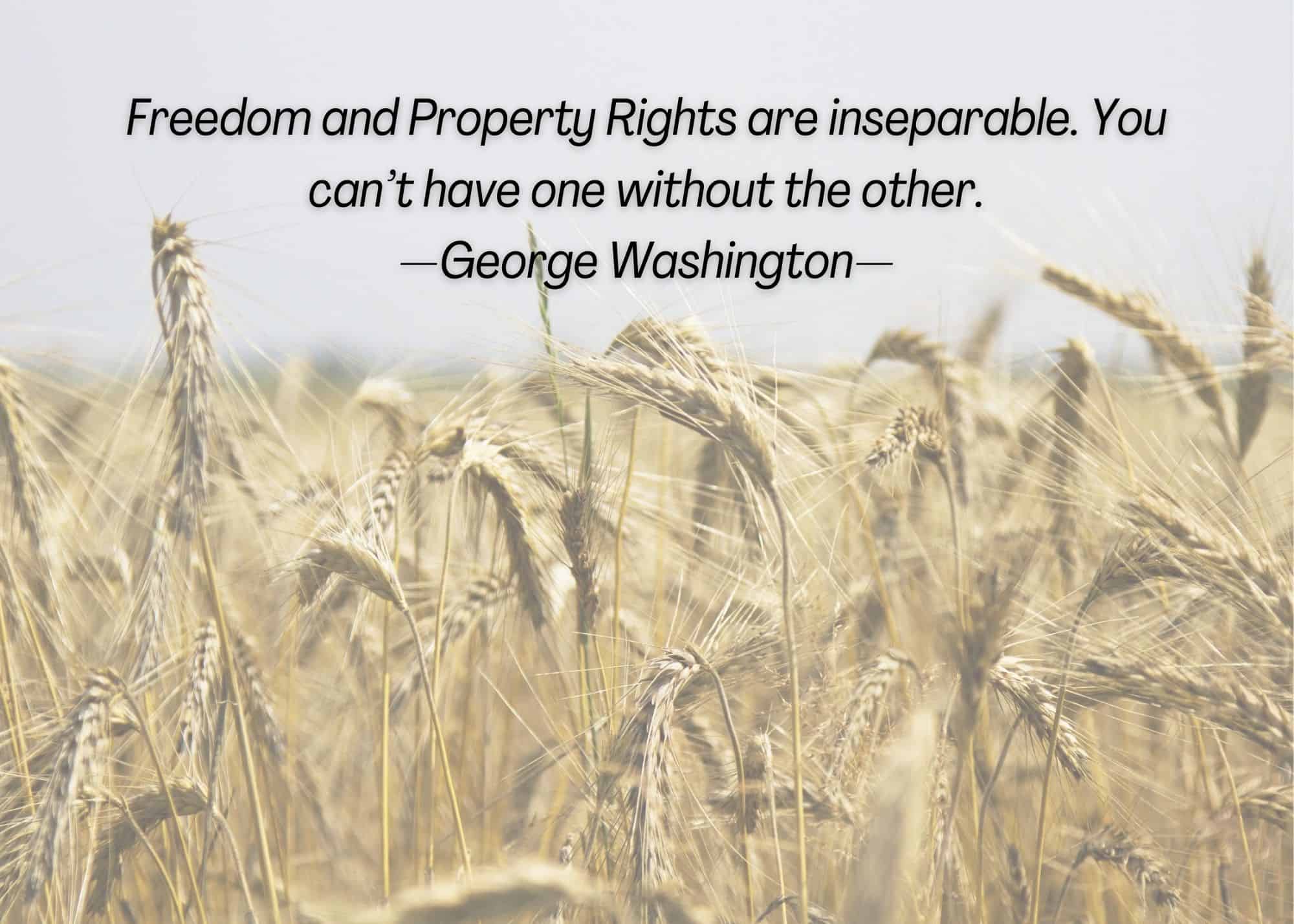 Discover Bedrock Truth