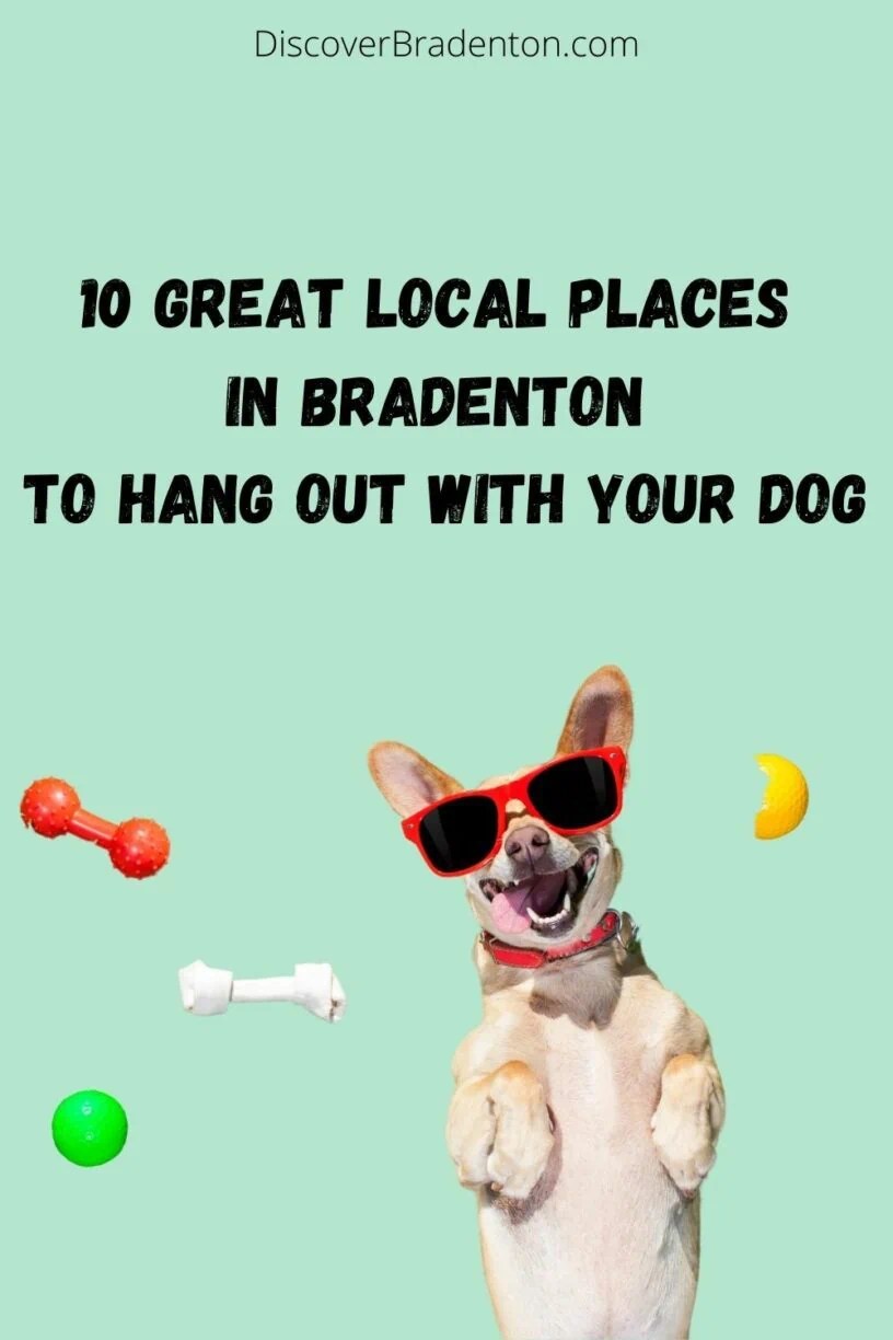 PetFriendly Bradenton 10 Great Local Places to Hang Out with Your Dog