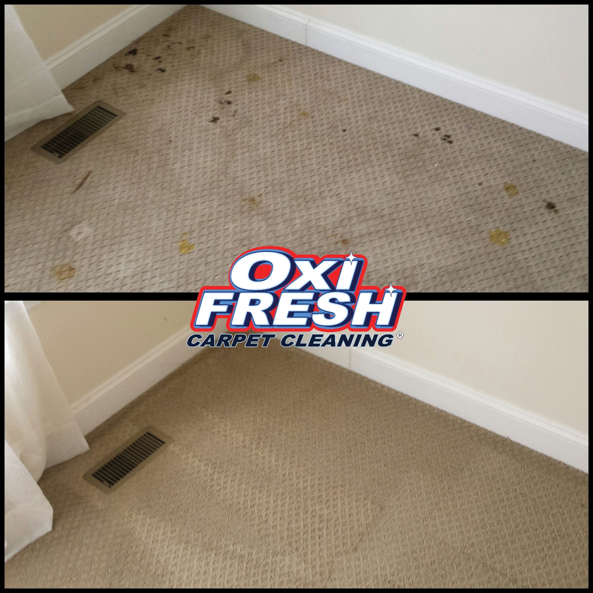 Discover Bradenton Directory Oxi Fresh Carpet Cleaning
