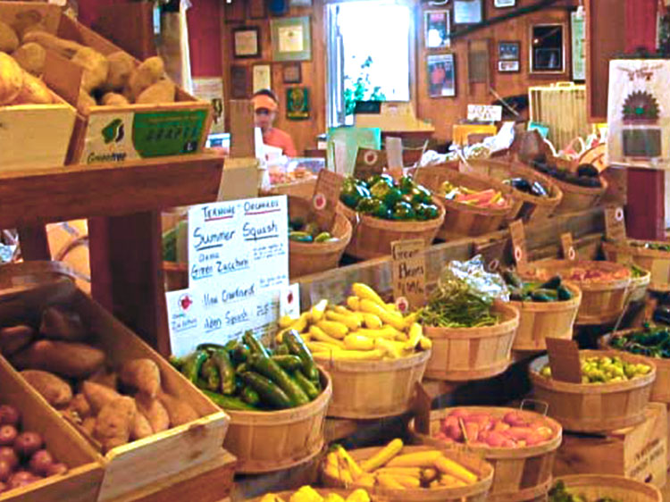 Central Jersey Farms Ready to Nourish Us During Crisis Discover