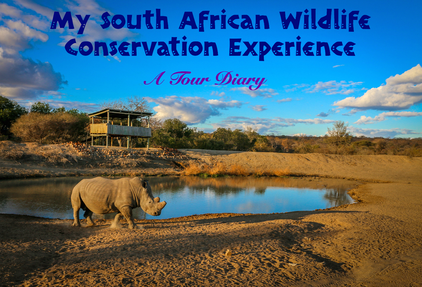 My South African Wildlife Conservation Experience A Tour Diary