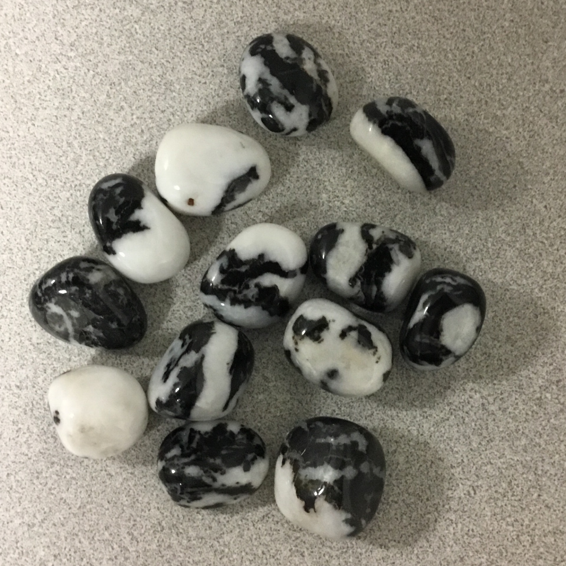 Black Zebra Jasper (6005) Canadian Fossil Discovery Centre