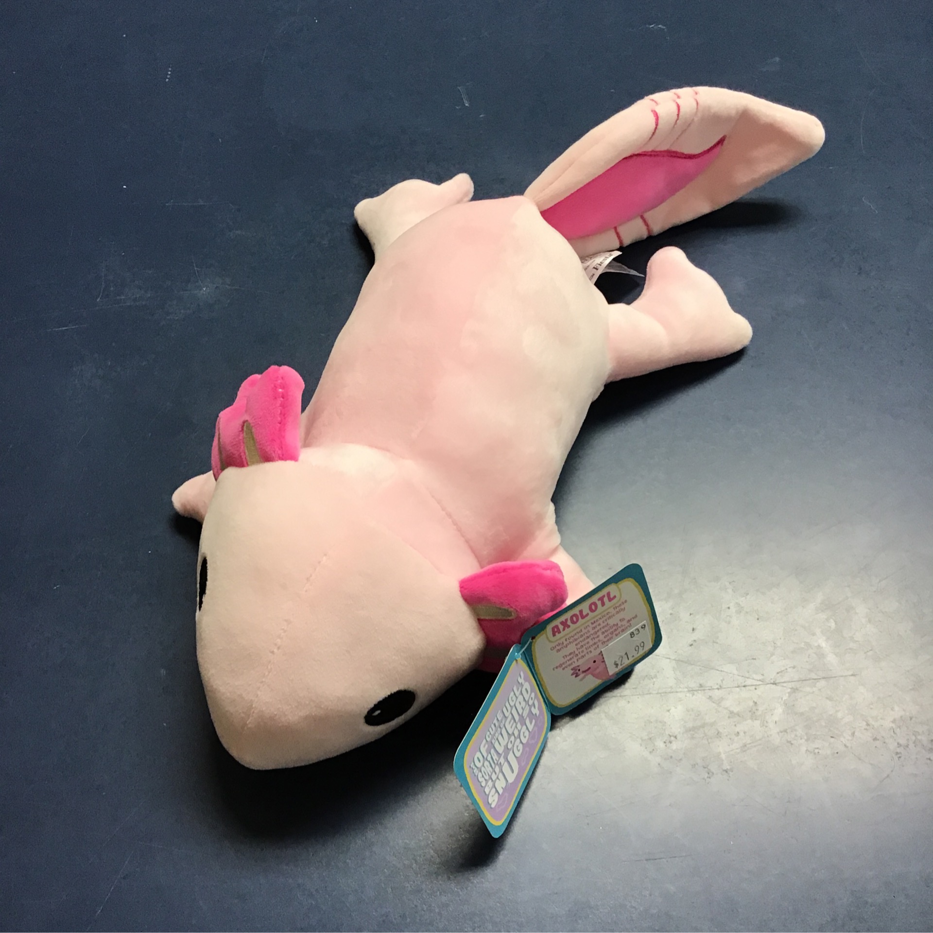 Snugglies Axolotl (7024) Canadian Fossil Discovery Centre