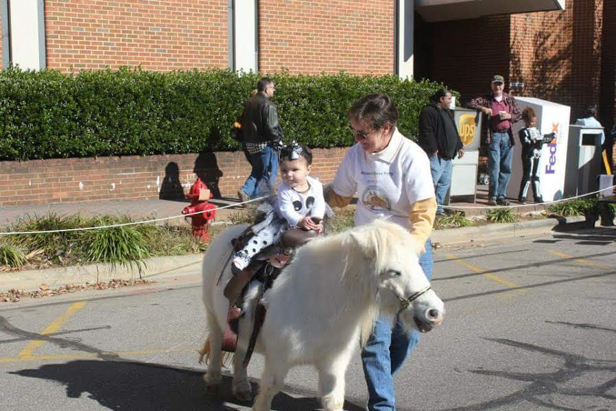 5 Top Reasons Why Franklin's PumpkinFest is a Mustdo this Fall