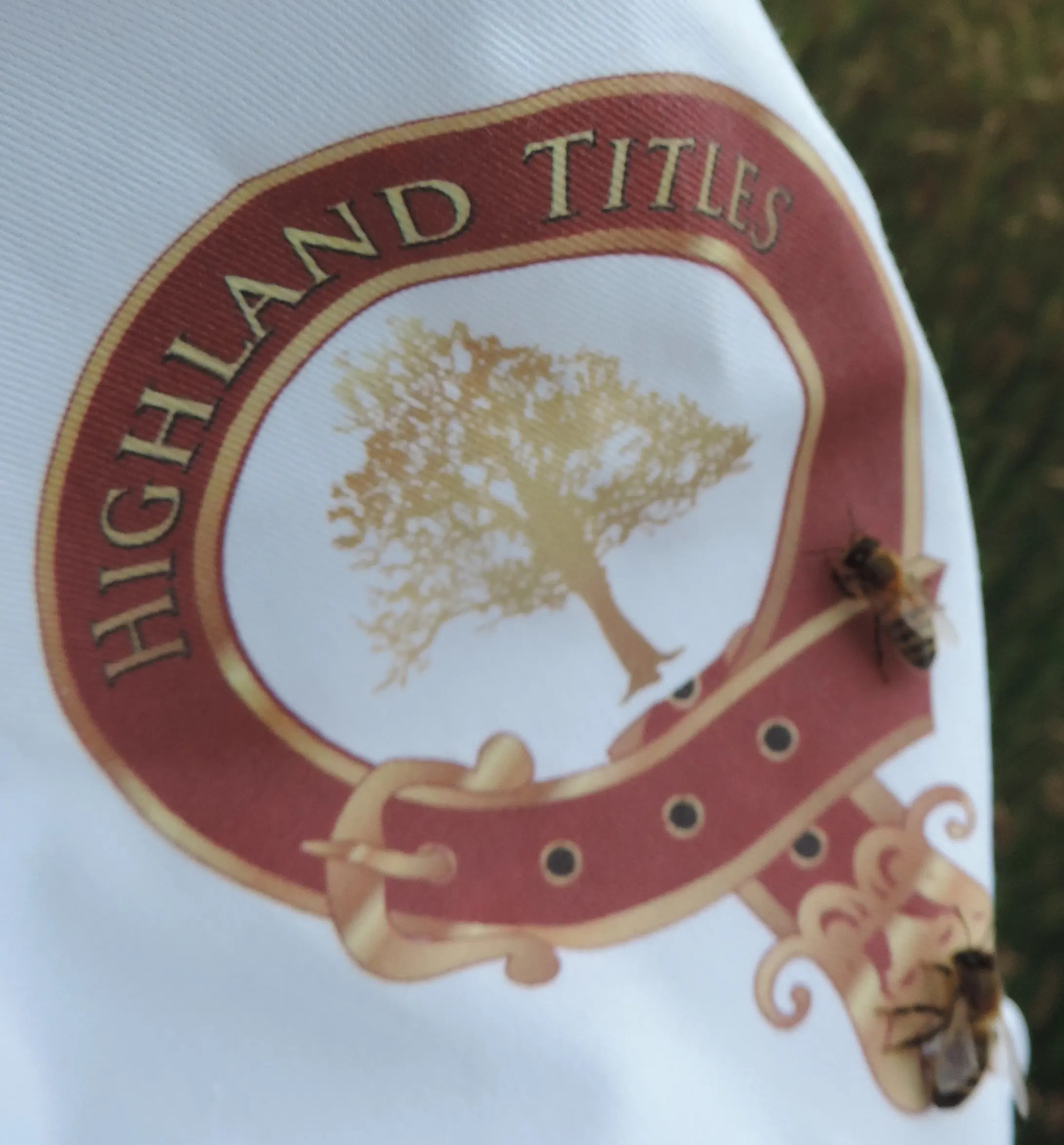 Highland Titles Nature Reserve - Discover Glencoe