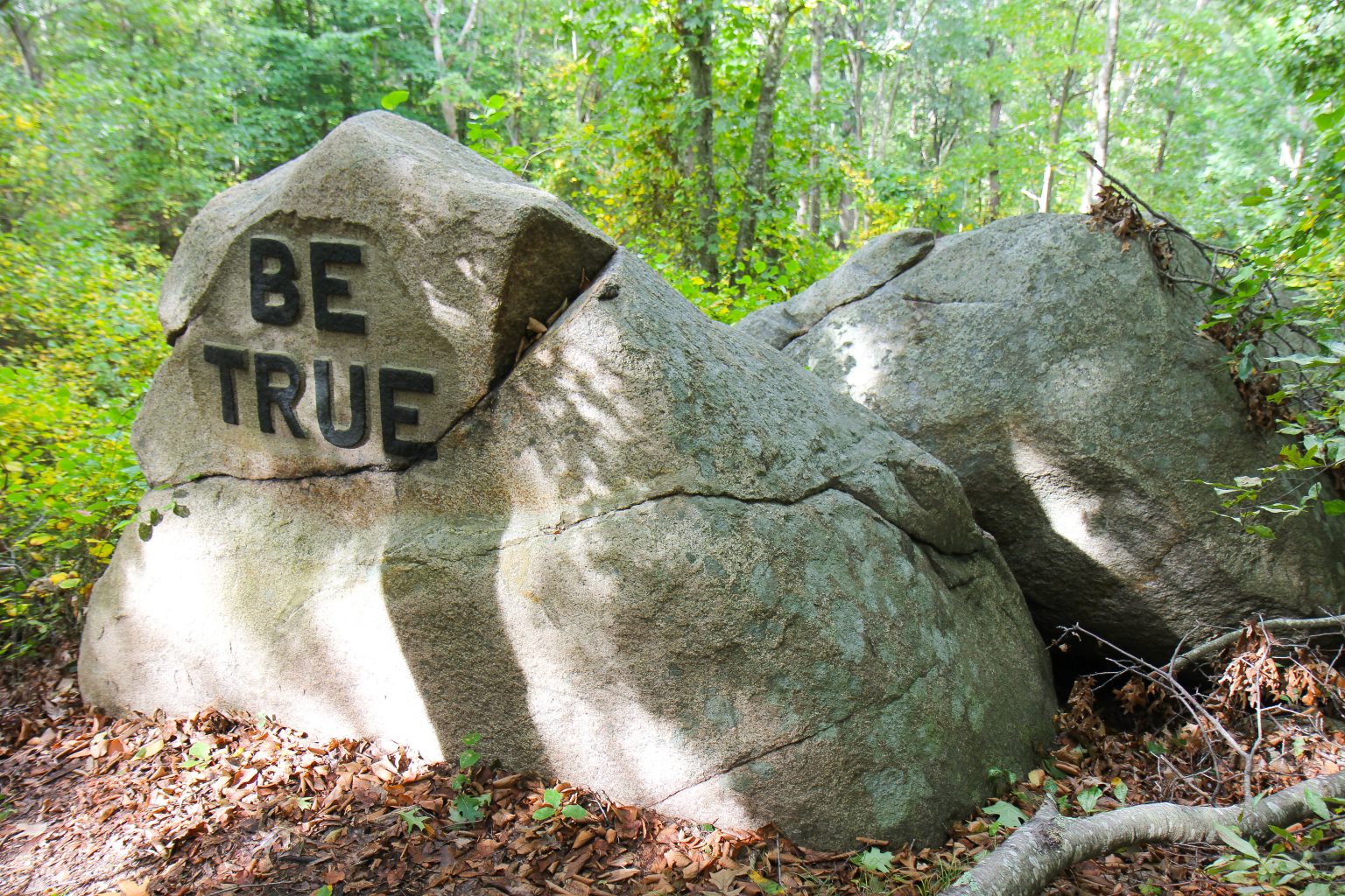 Gloucester's Gems 15 Captivating Cape Ann Attractions Discover Gloucester