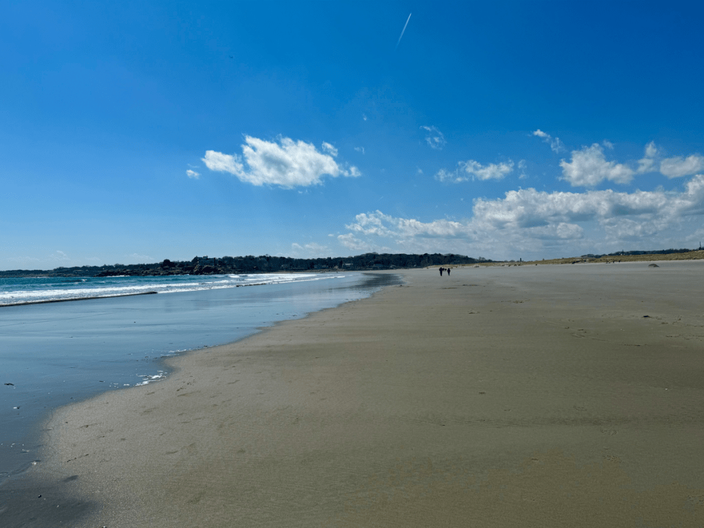 Everything You Need To Know About Gloucester Beaches Discover Gloucester
